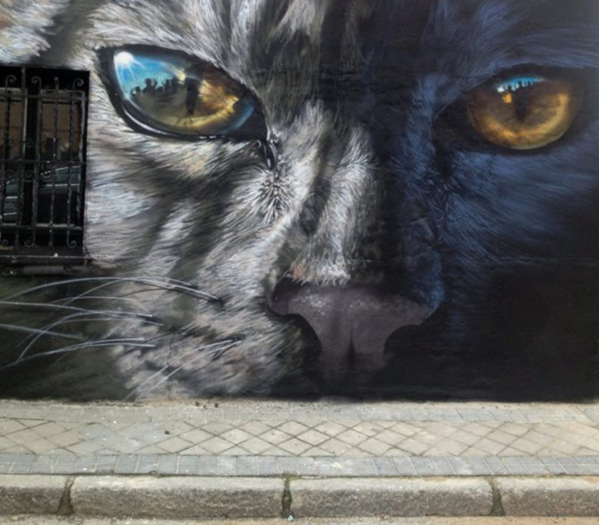 Arte contra el abandono